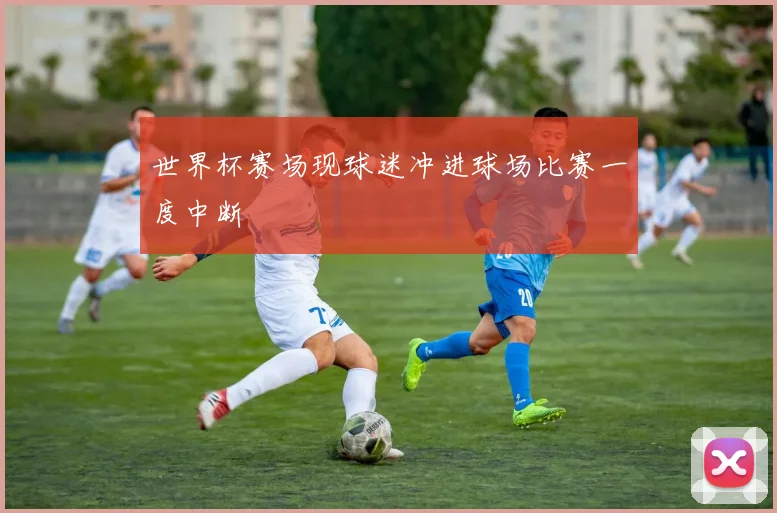 世界杯赛场现球迷冲进球场比赛一度中断