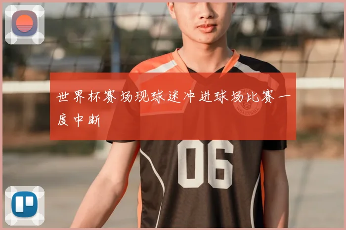 世界杯赛场现球迷冲进球场比赛一度中断